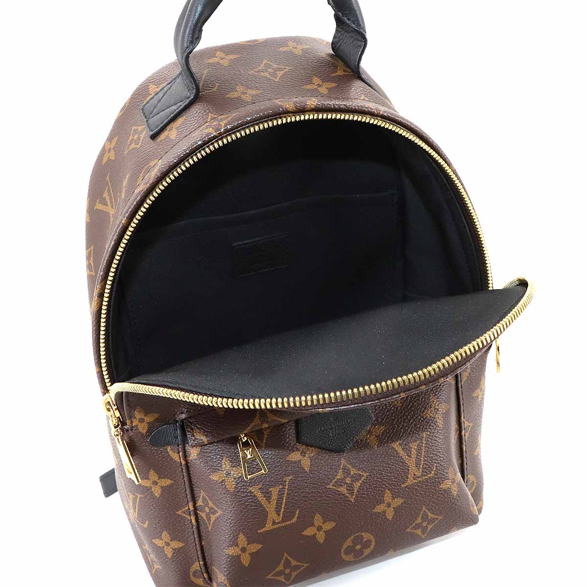 Monogram Palm Springs Backpack PM Leather Brown M44871