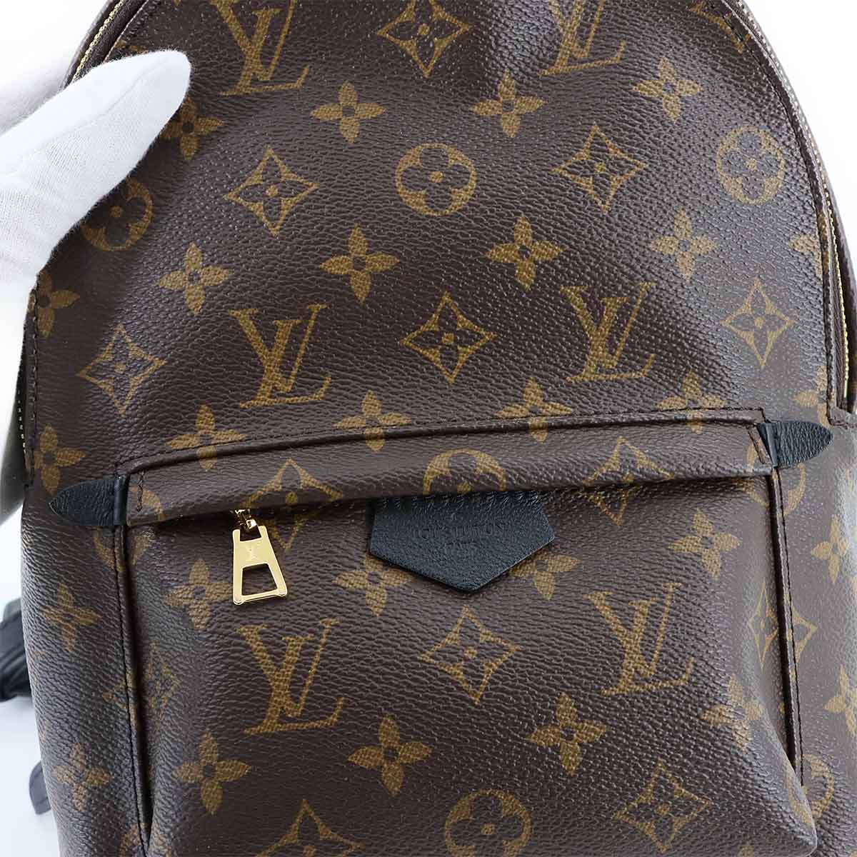 Monogram Palm Springs Backpack PM Leather Brown M44871