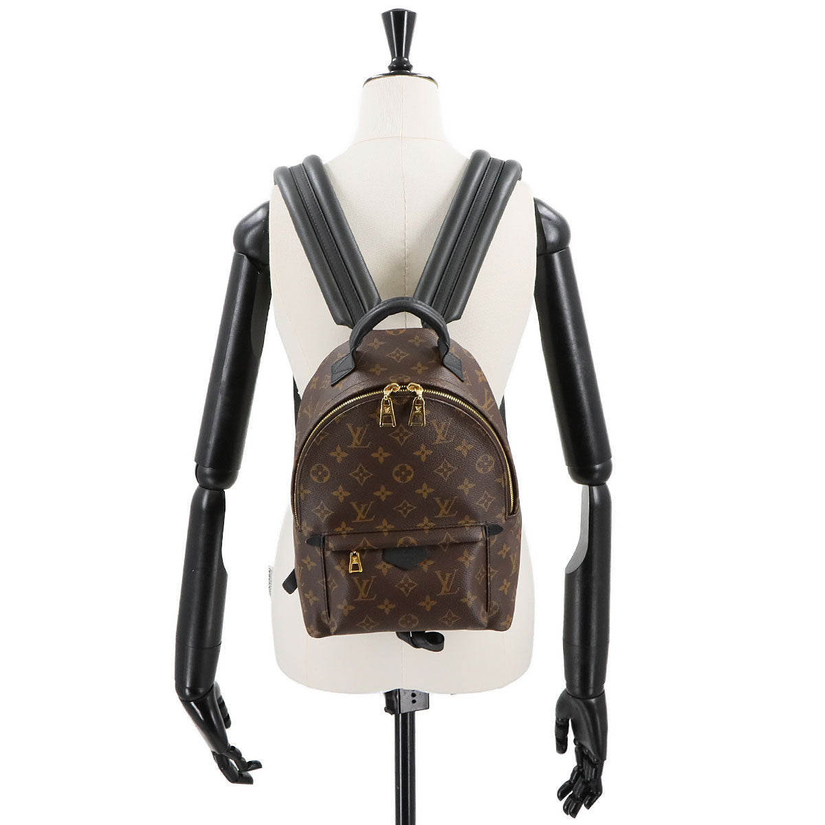 Monogram Palm Springs Backpack PM Leather Brown M44871