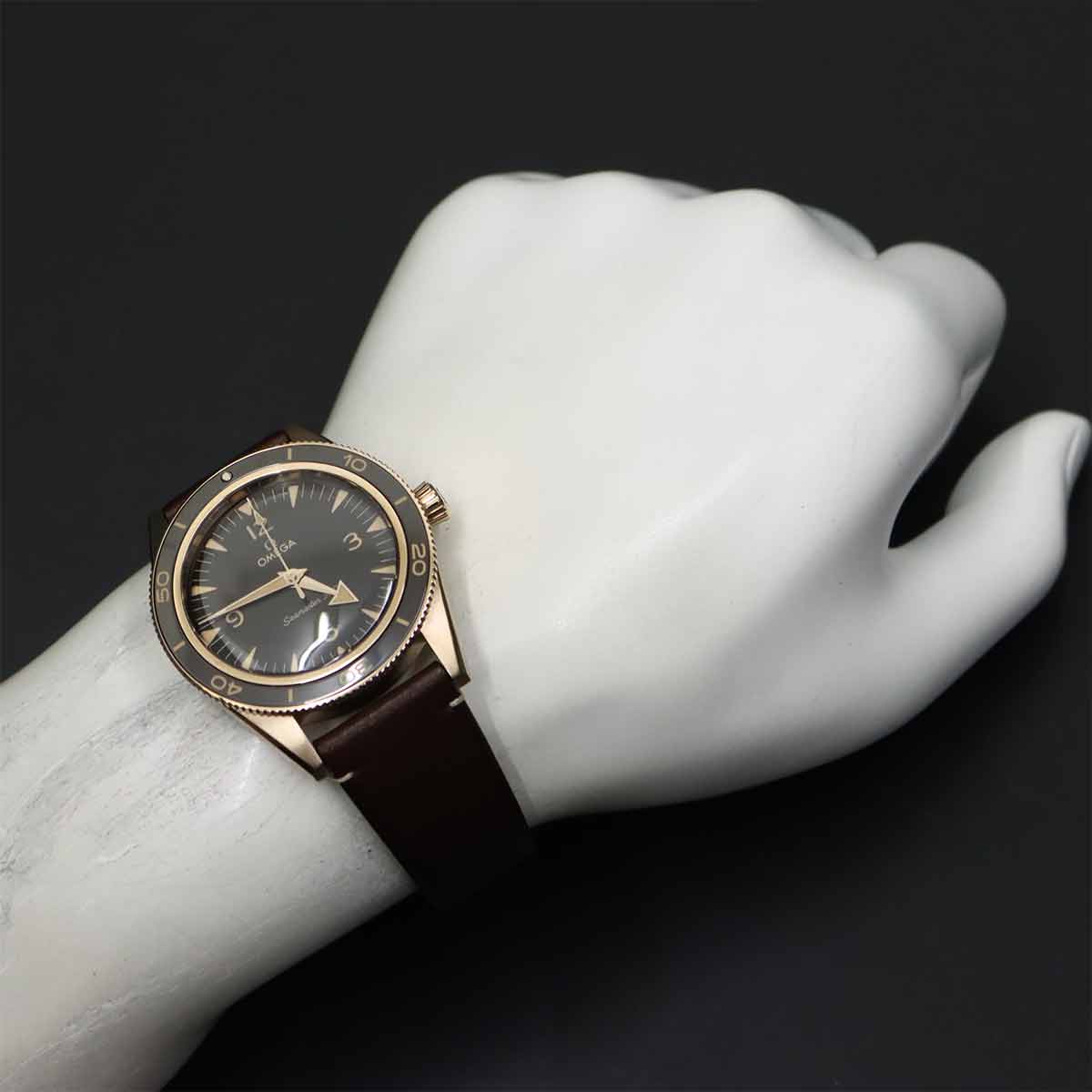 Seamaster 300 Master Chronometer 234 92 41 21 10 001 375BG