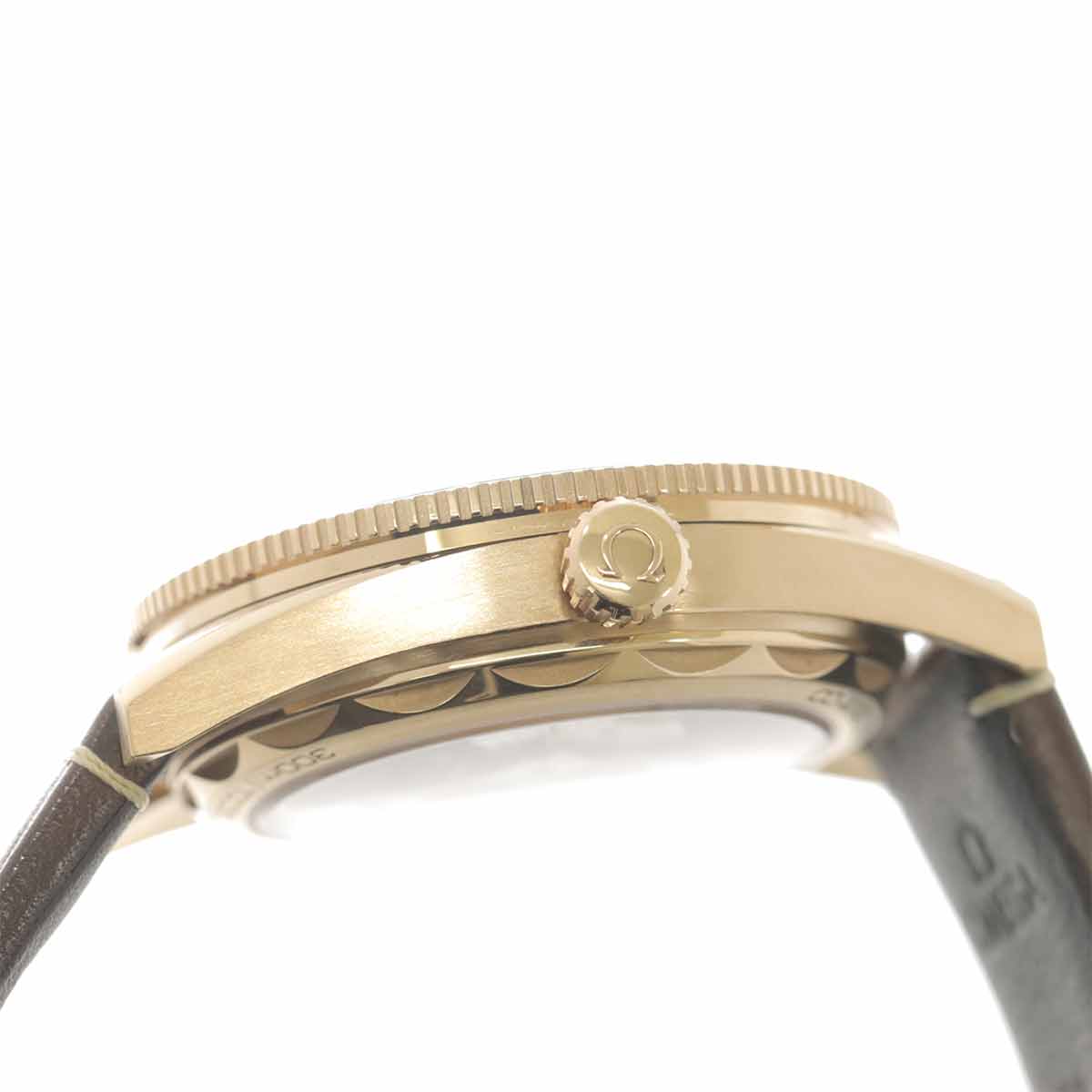 Seamaster 300 Master Chronometer 234 92 41 21 10 001 375BG