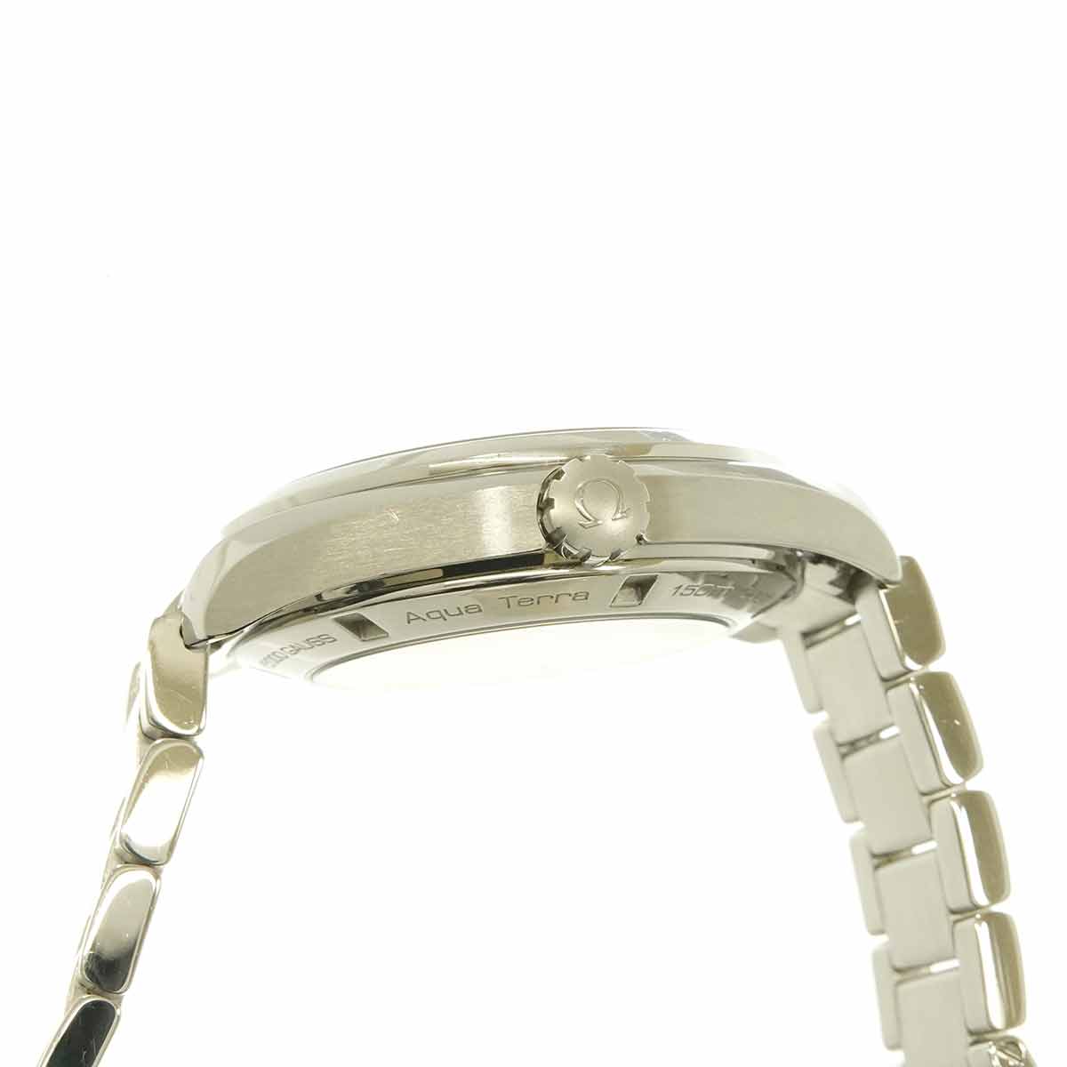 Seamaster Aqua Terra Co-Axial 231.10.42.21.02.004 Silver Dial