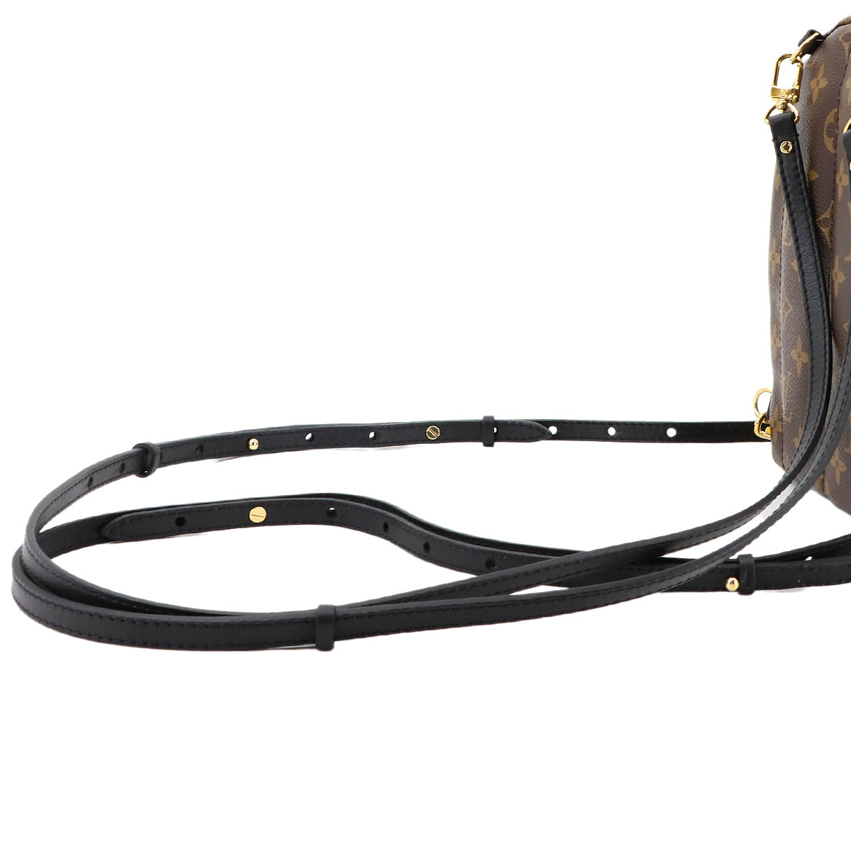 Monogram Palm Springs Backpack Mini M41562 Brown Purse