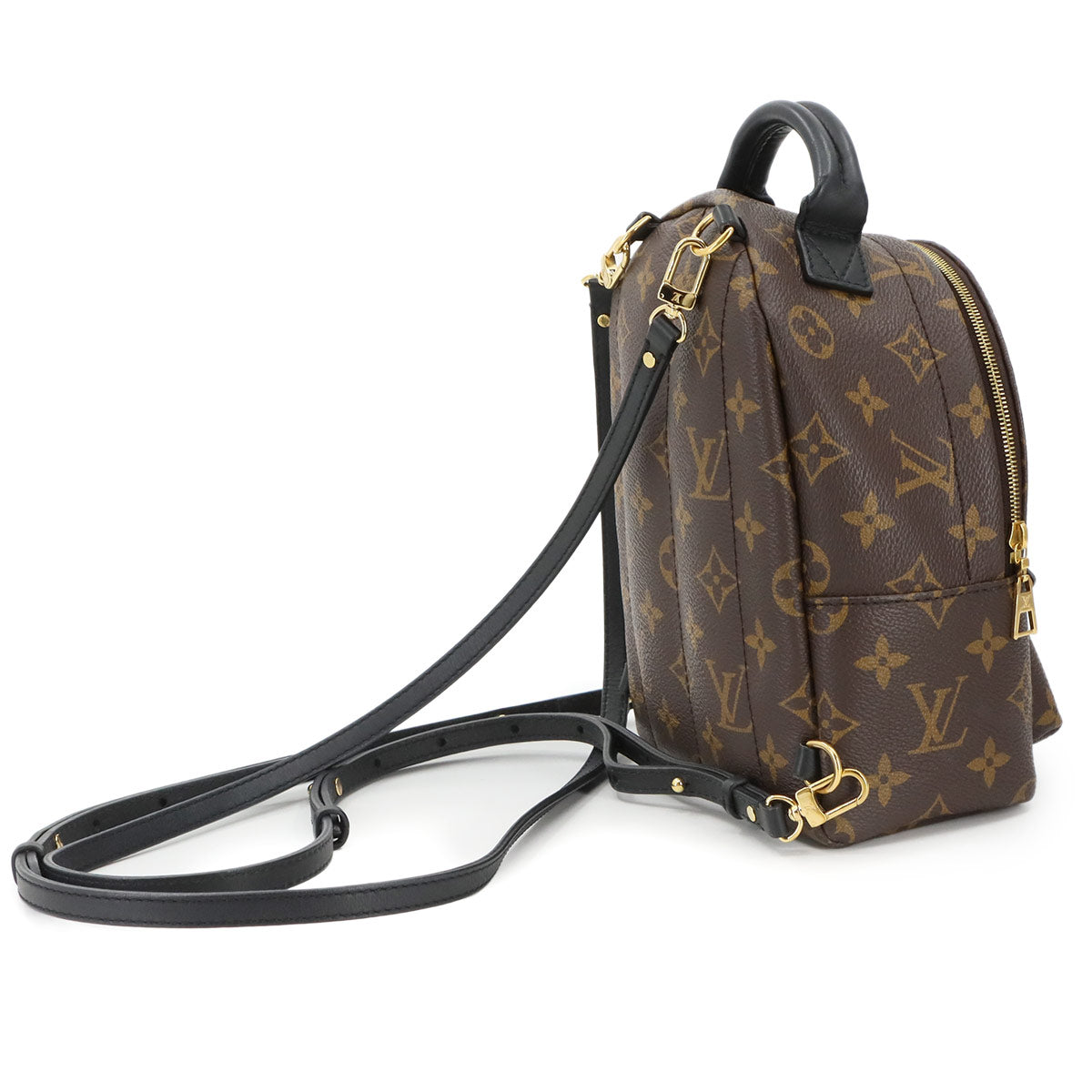 Monogram Palm Springs Backpack Mini M44873 Brown Purse