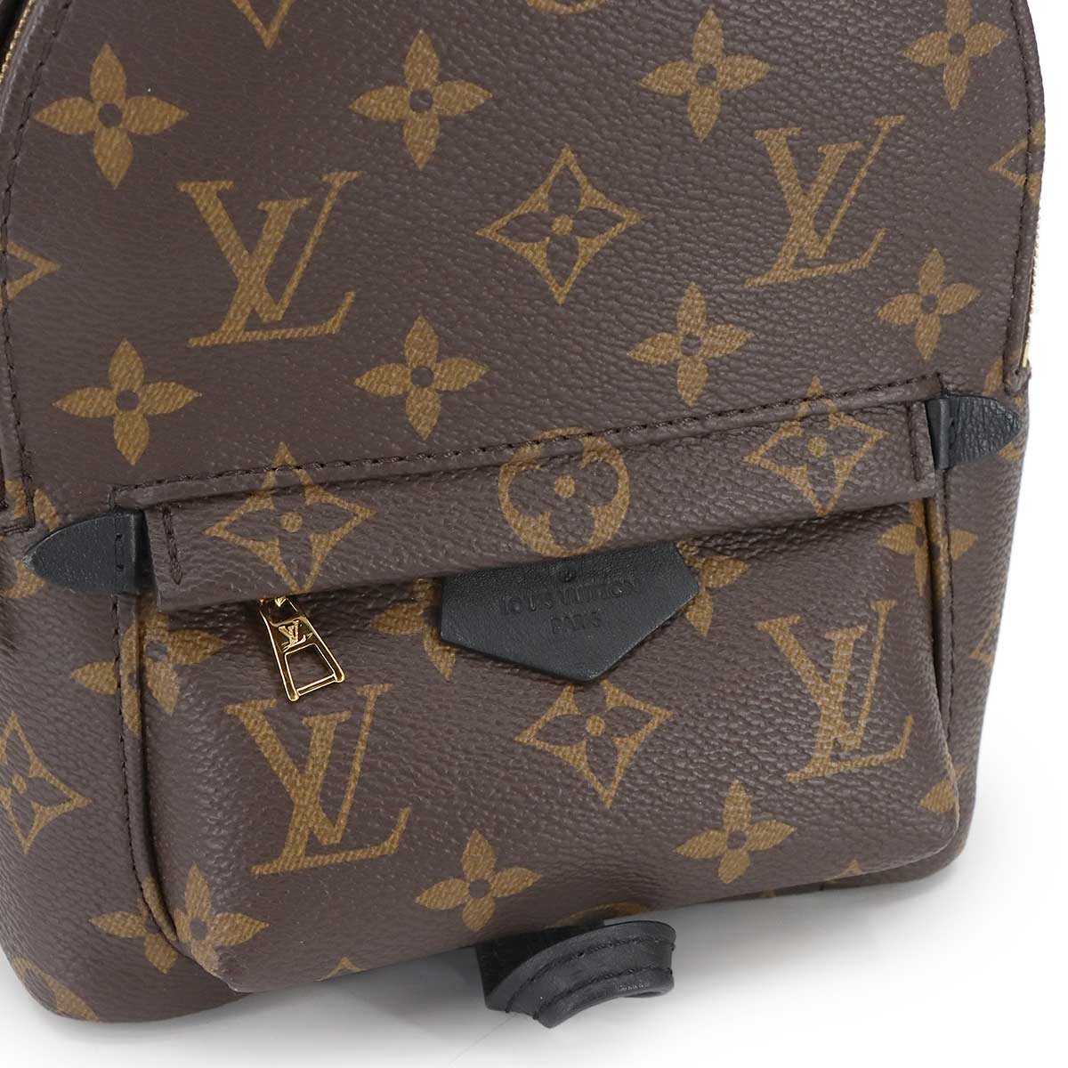 Monogram Palm Springs Backpack Mini M44873 Brown Purse