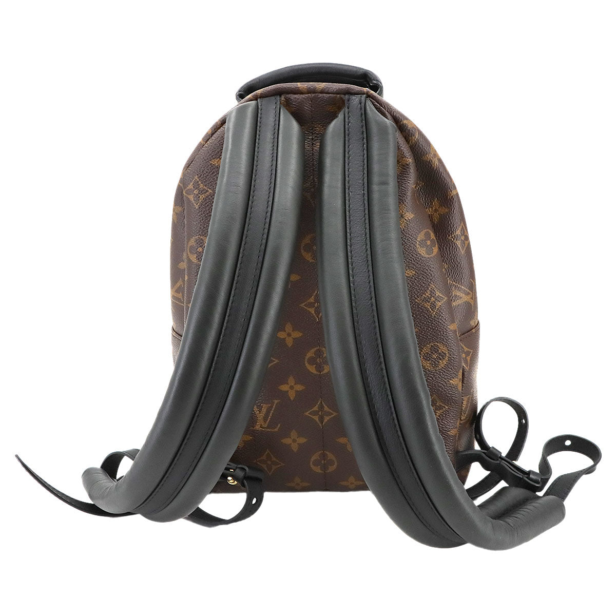 Monogram Palm Springs Backpack PM Leather Brown M44871