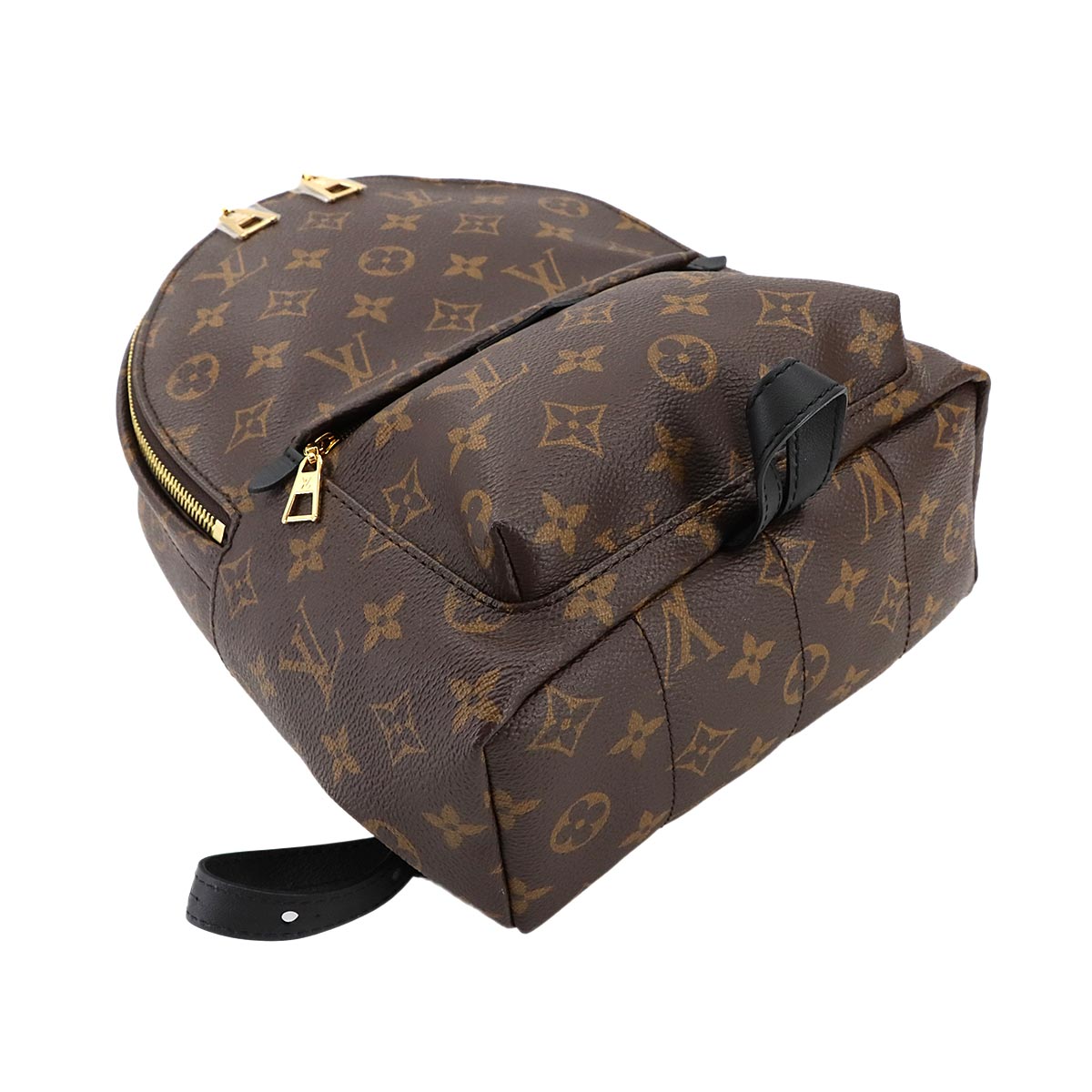 Monogram Palm Springs Backpack PM Leather Brown M44871