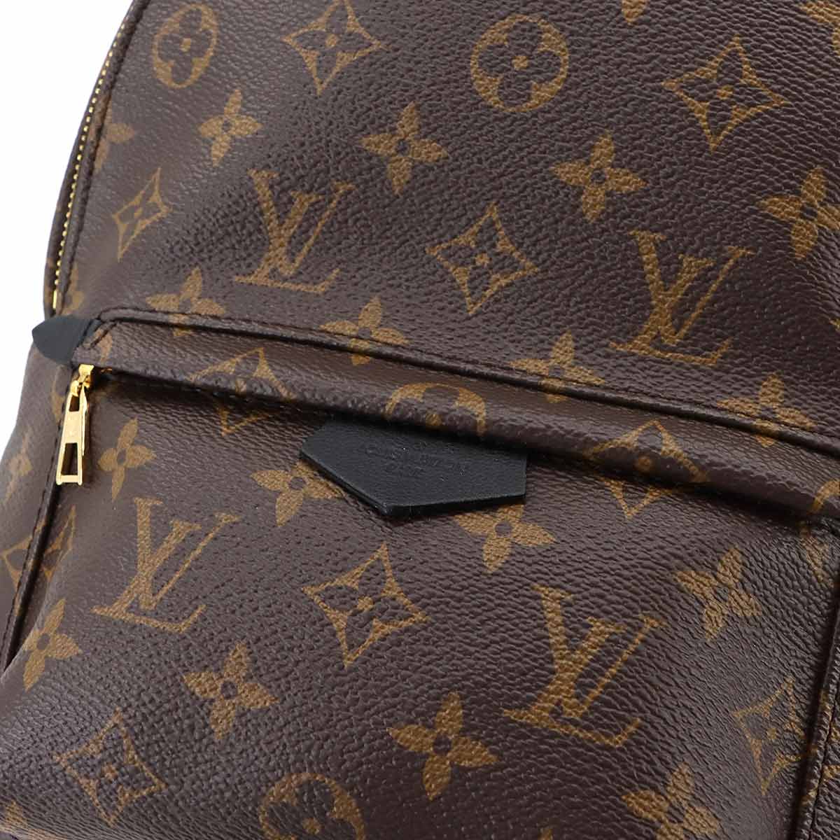 Monogram Palm Springs Backpack PM Leather Brown M44871