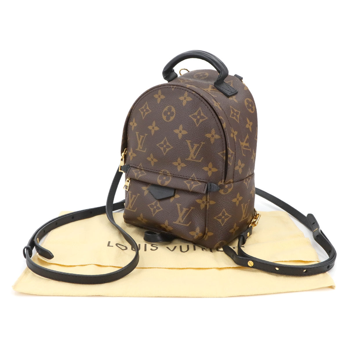 Monogram Palm Springs Backpack MINI Brown Black M41562