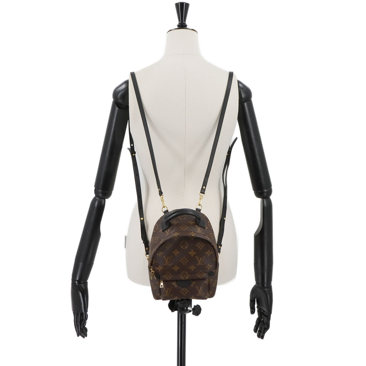 Monogram Palm Springs Backpack MINI Brown Black M41562