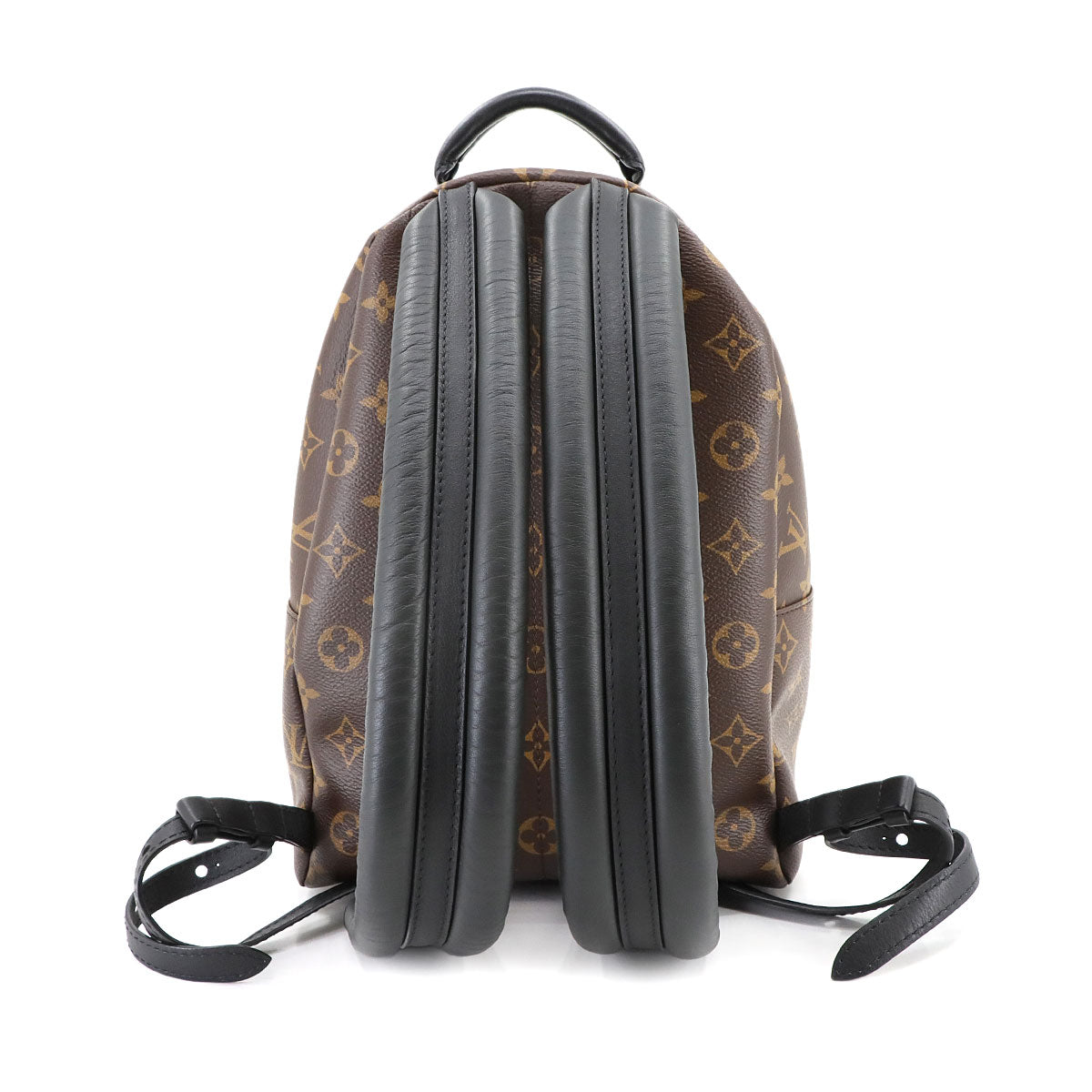 Monogram Palm Springs Backpack PM Leather Brown M44871