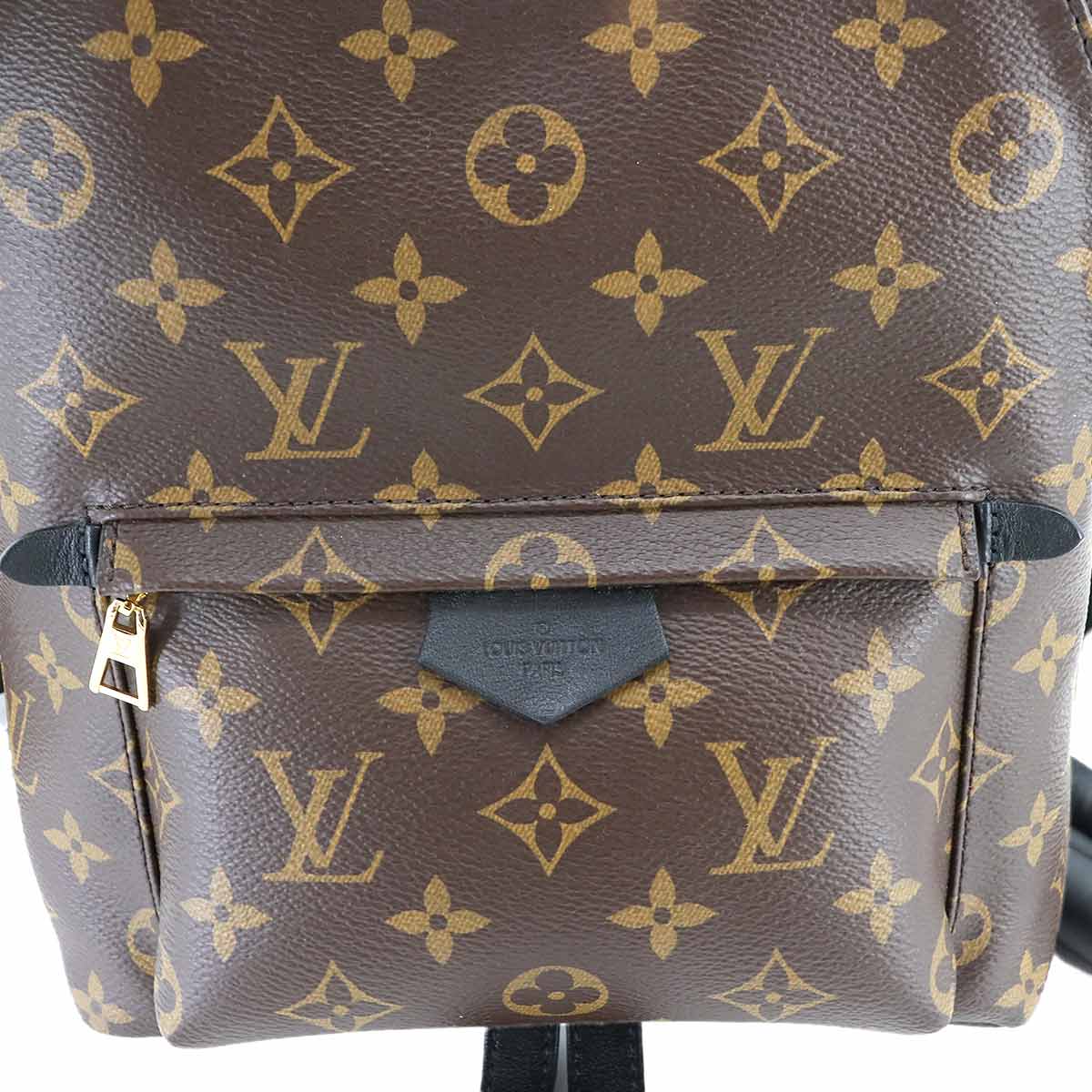 Monogram Palm Springs Backpack PM Leather Brown M44871