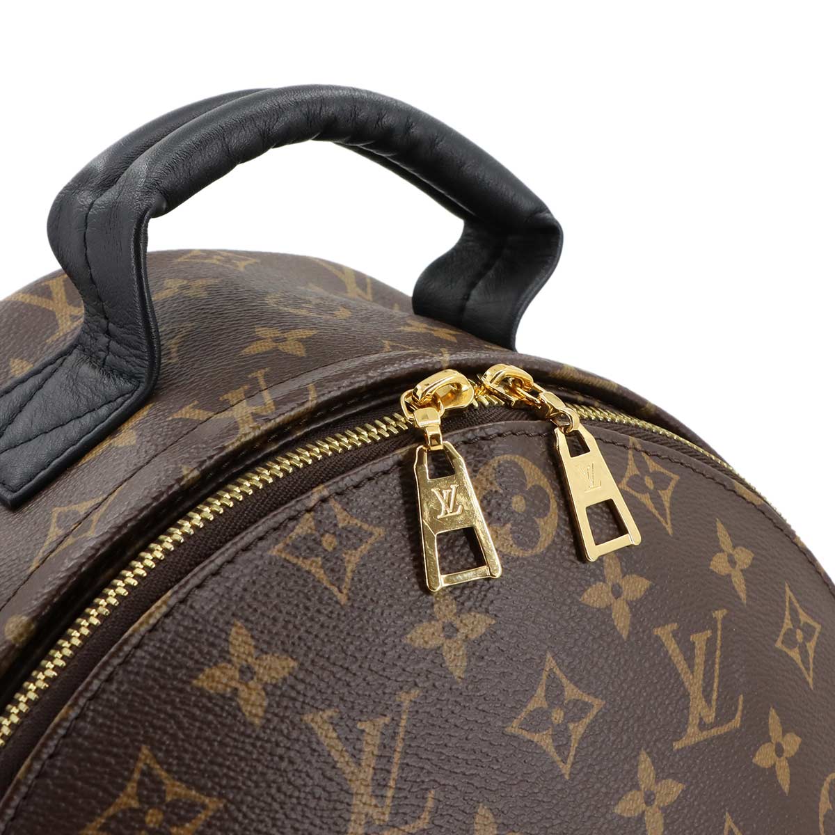 Monogram Palm Springs MM Backpack Brown Black M44874
