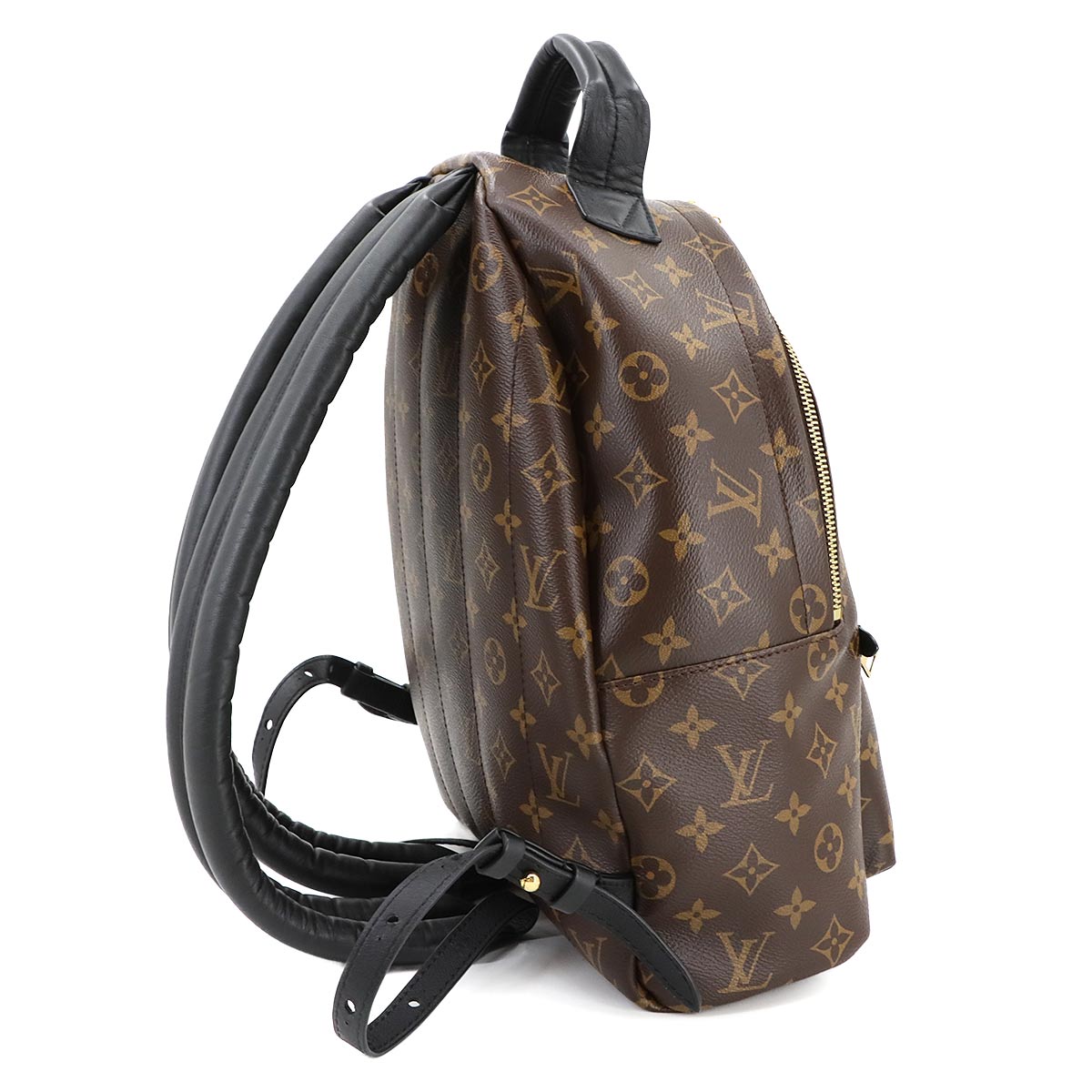 Monogram Palm Springs MM Backpack Brown Black M44874