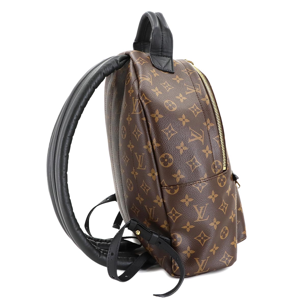 Monogram Palm Springs MM Backpack Brown Black M44874