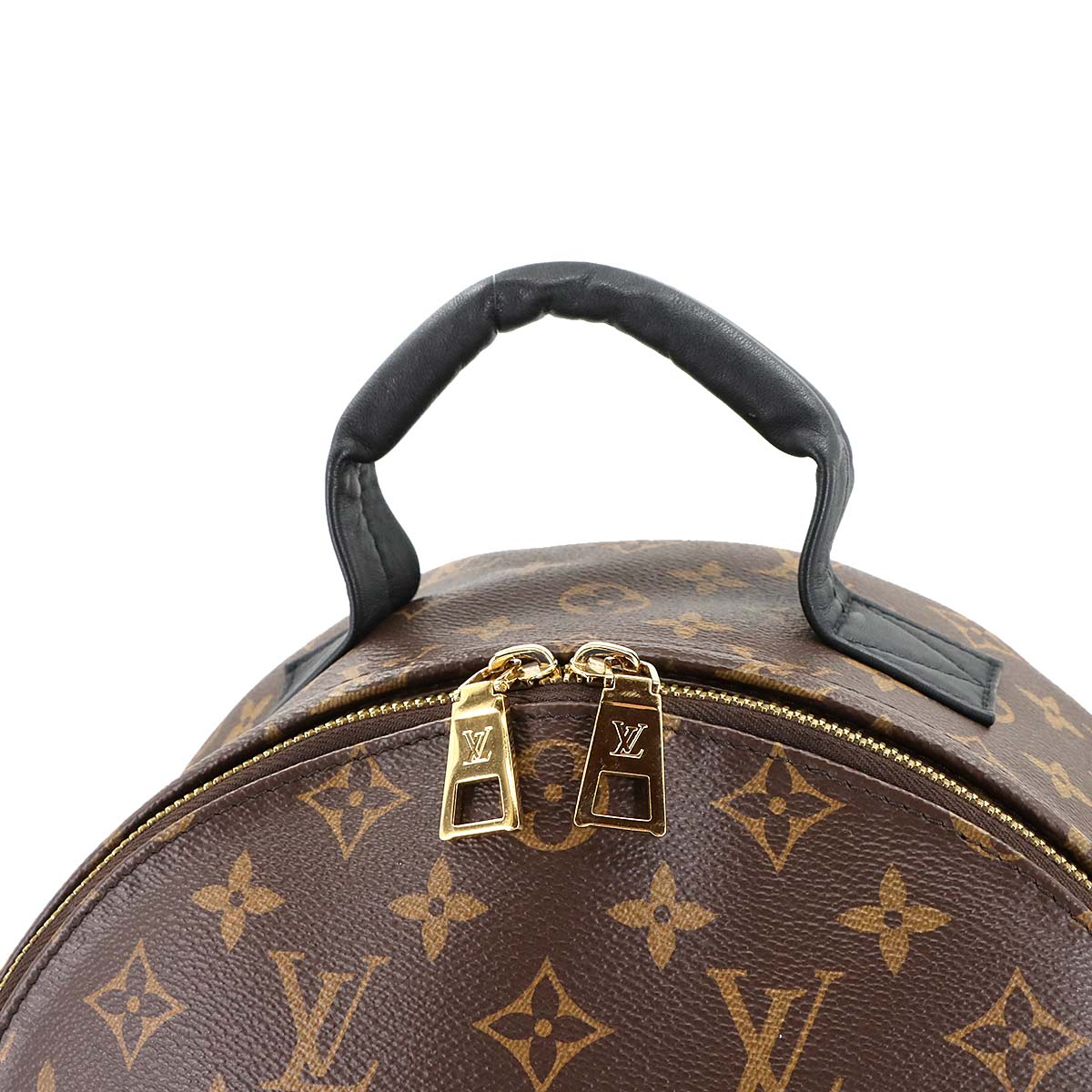 Monogram Palm Springs MM Backpack Brown Black M44874
