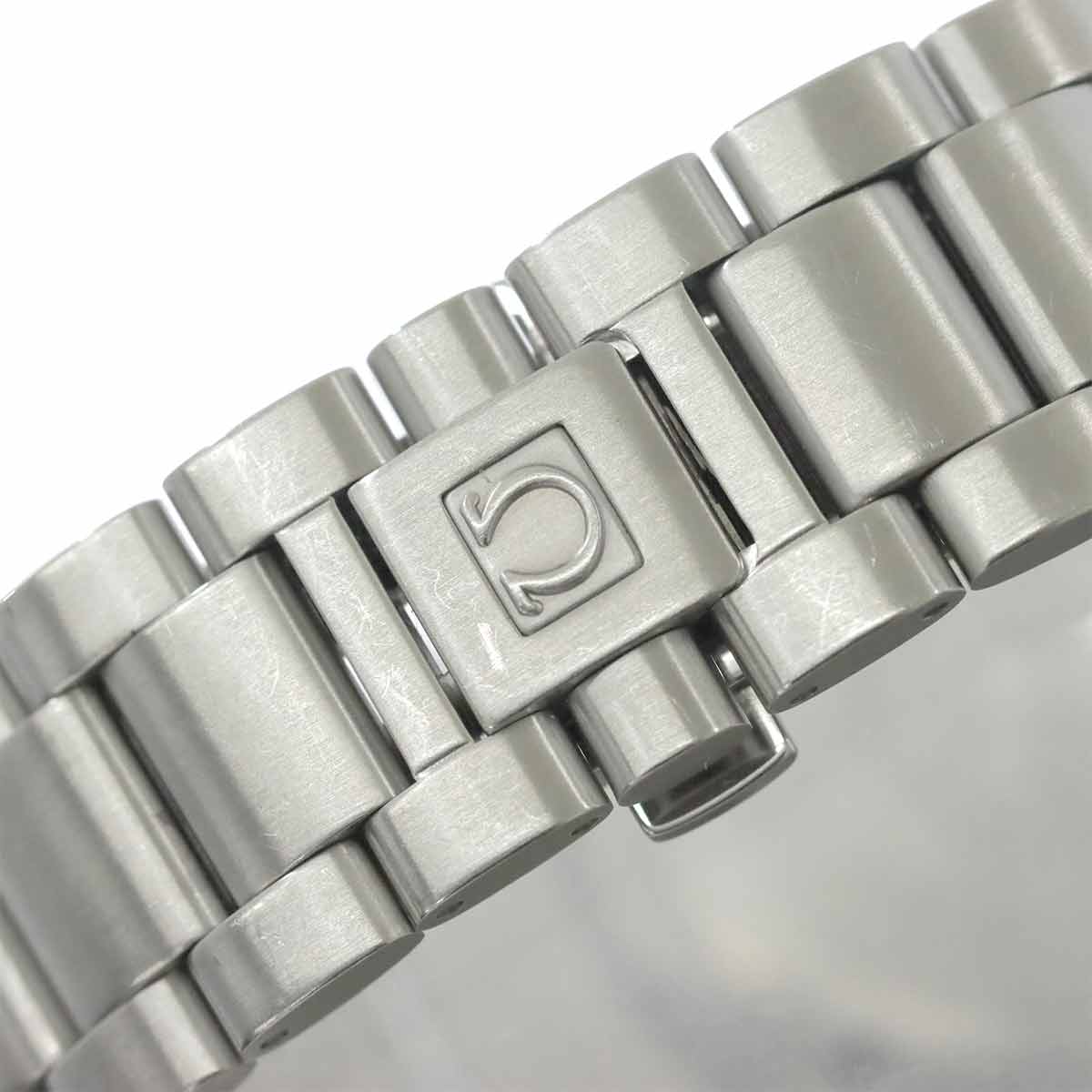 Seamaster Aqua Terra 2512 50 Automatic Black Dial Mens