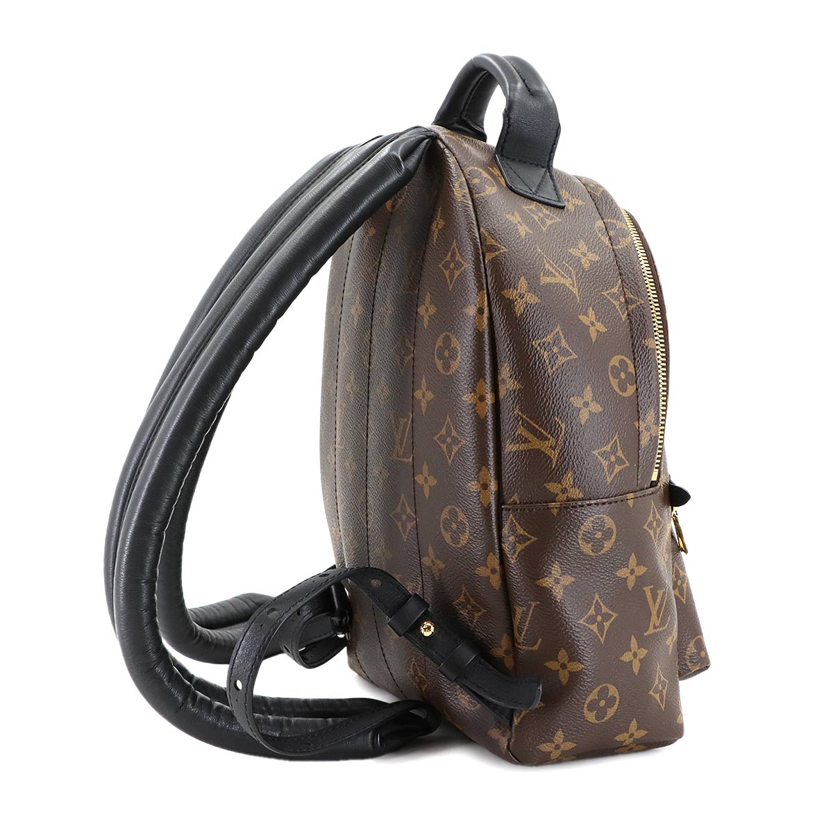 Monogram Palm Springs Backpack PM Leather Brown M44871