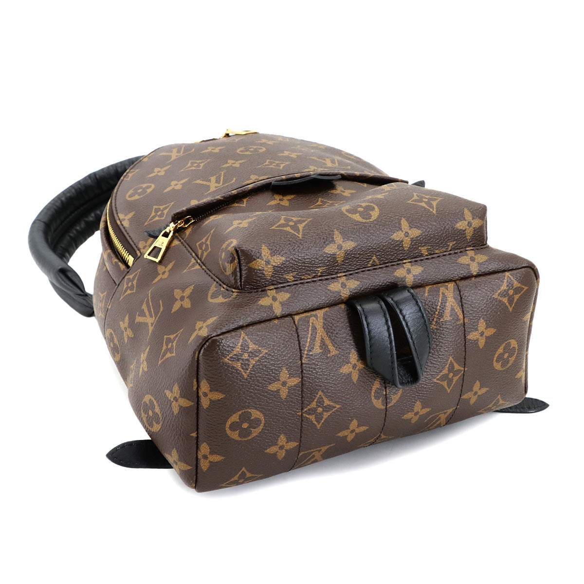 Monogram Palm Springs Backpack PM Leather Brown M44871