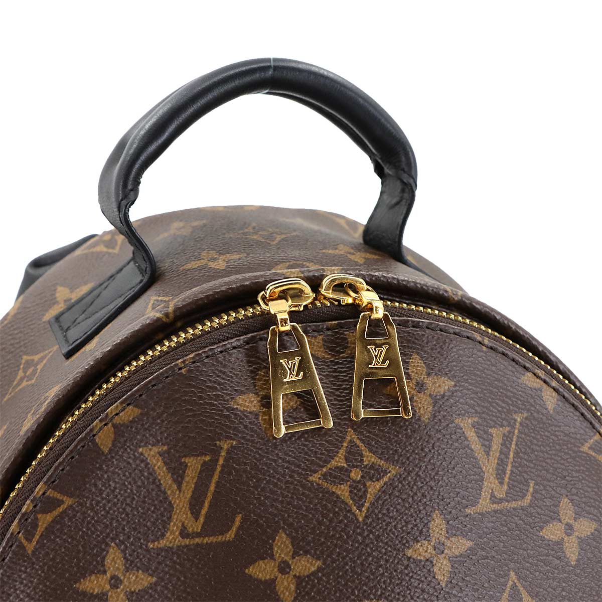 Monogram Palm Springs Backpack PM Leather Brown M44871