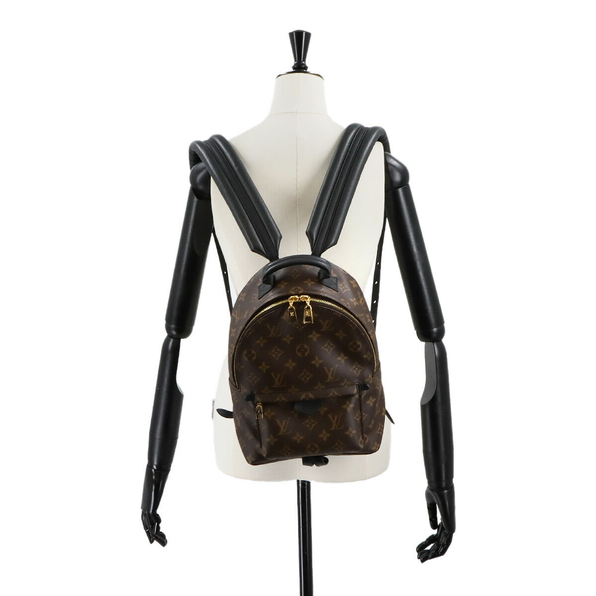 Monogram Palm Springs Backpack PM Leather Brown M44871