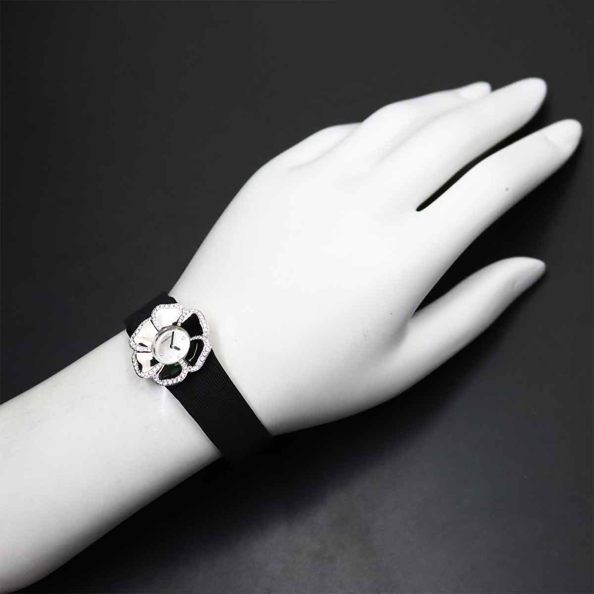 Camellia H1187 Quartz Diamond 750 WG White Shell Dial