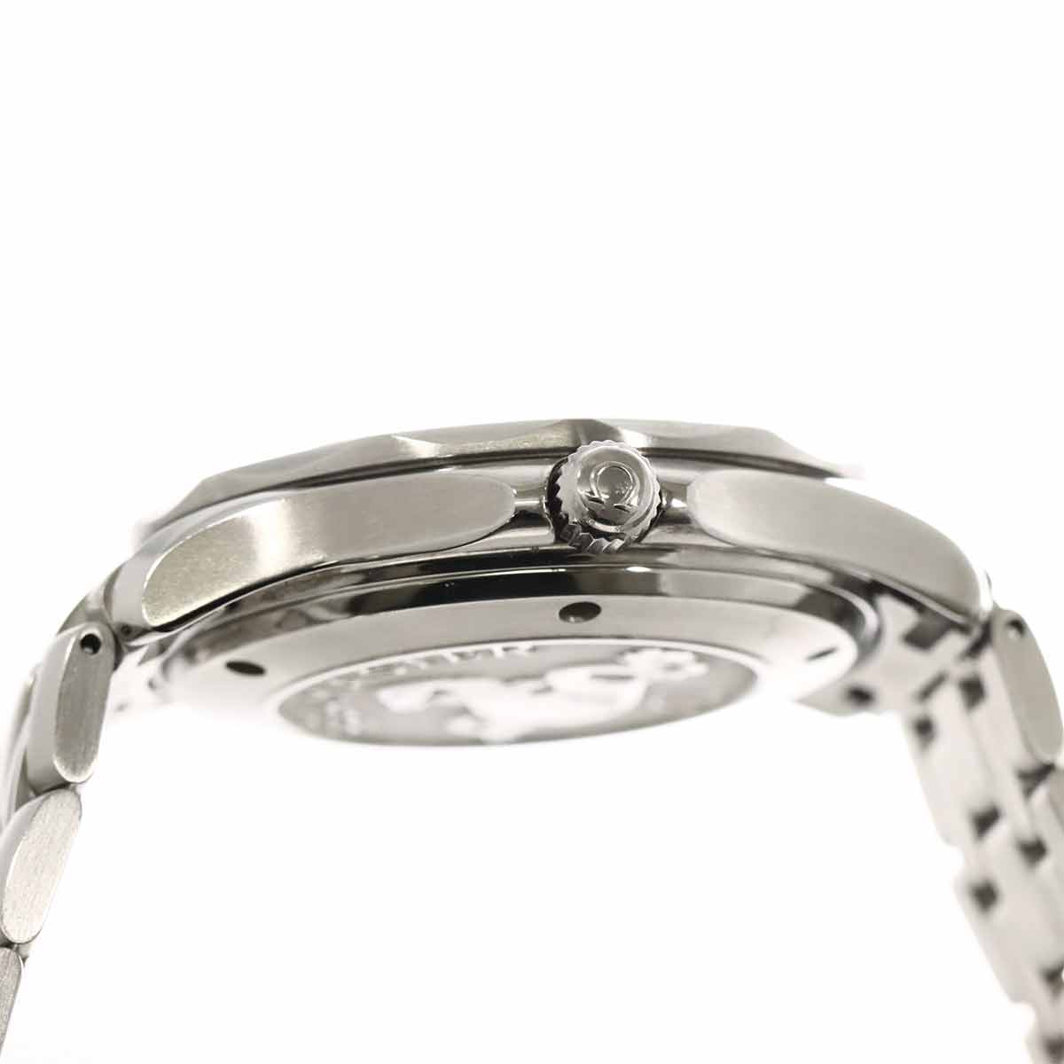 Seamaster Professional 2220.80 Automatic Date Mens Watch