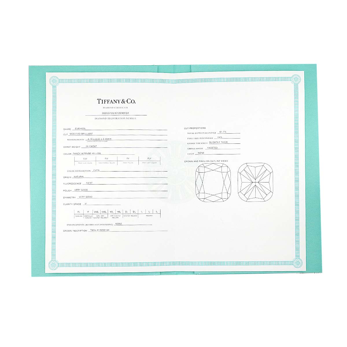 Yellow Diamond 0.35ct FY/IF Necklace Pt 18K YG 750