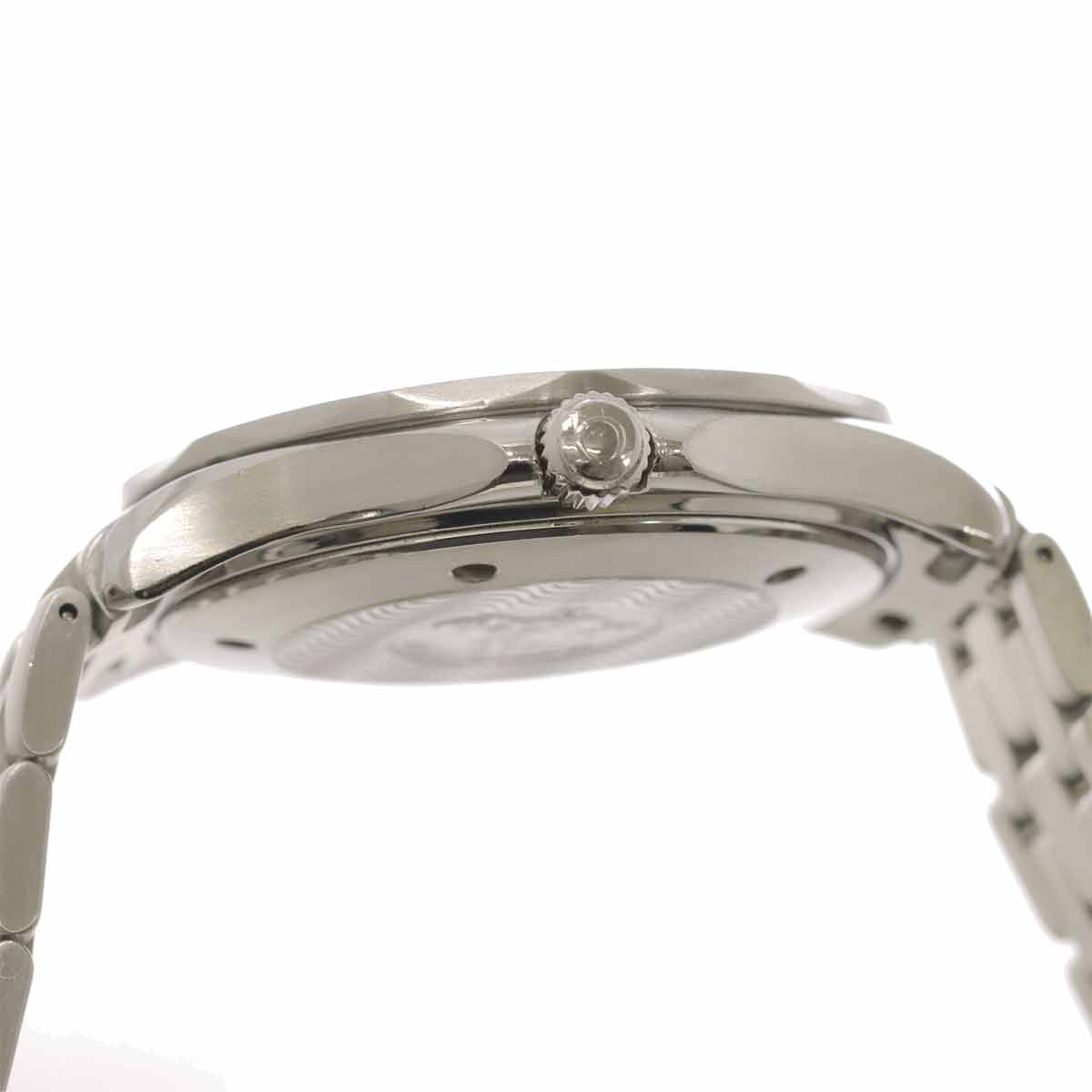 Seamaster Professional 300m 2531 80 Automatic Mens Watch