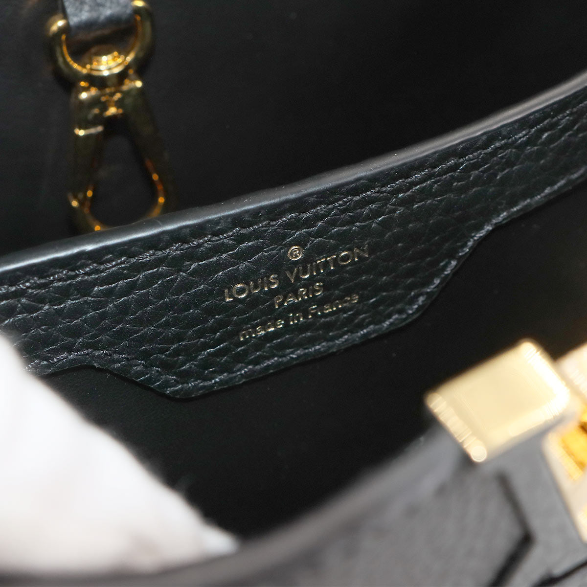 Wild at Heart Capucines BB Hand Shoulder Bag M58720