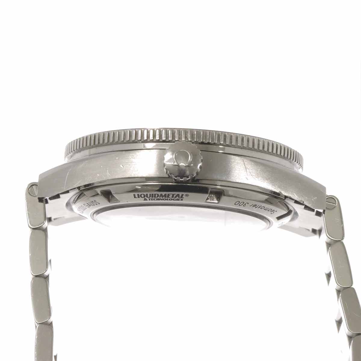 Seamaster 300 Master Co-Axial 233 30 41 21 01 001 Black Dial