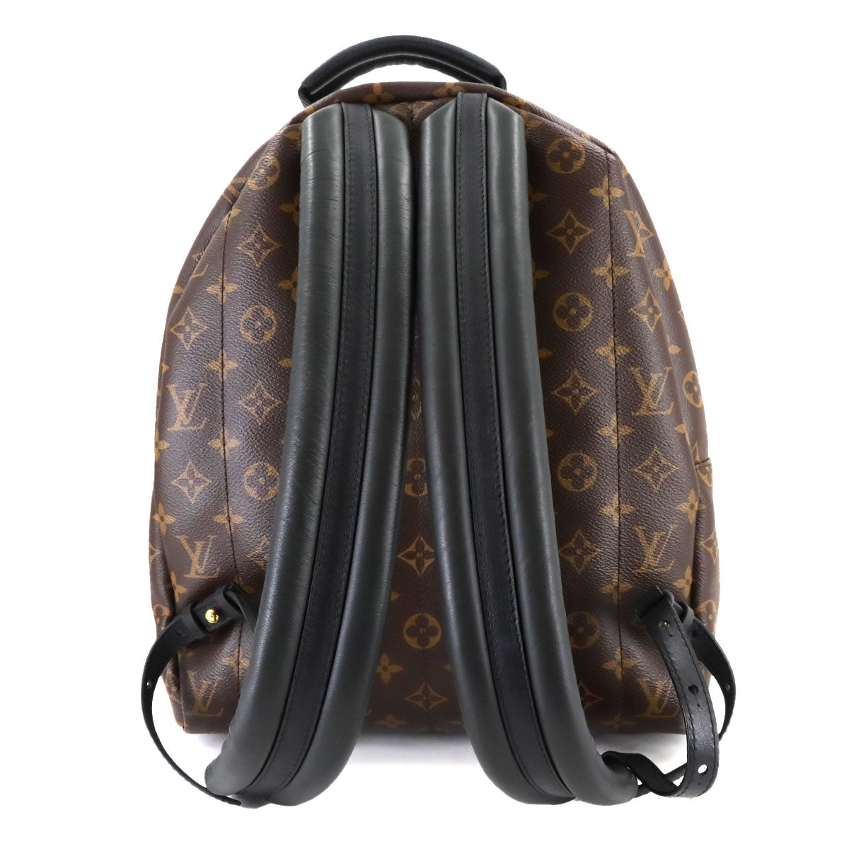 Monogram Palm Springs MM Backpack Brown Black M44874