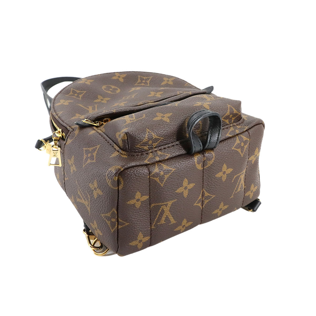 Monogram Palm Springs Backpack Mini M44873 Brown Purse