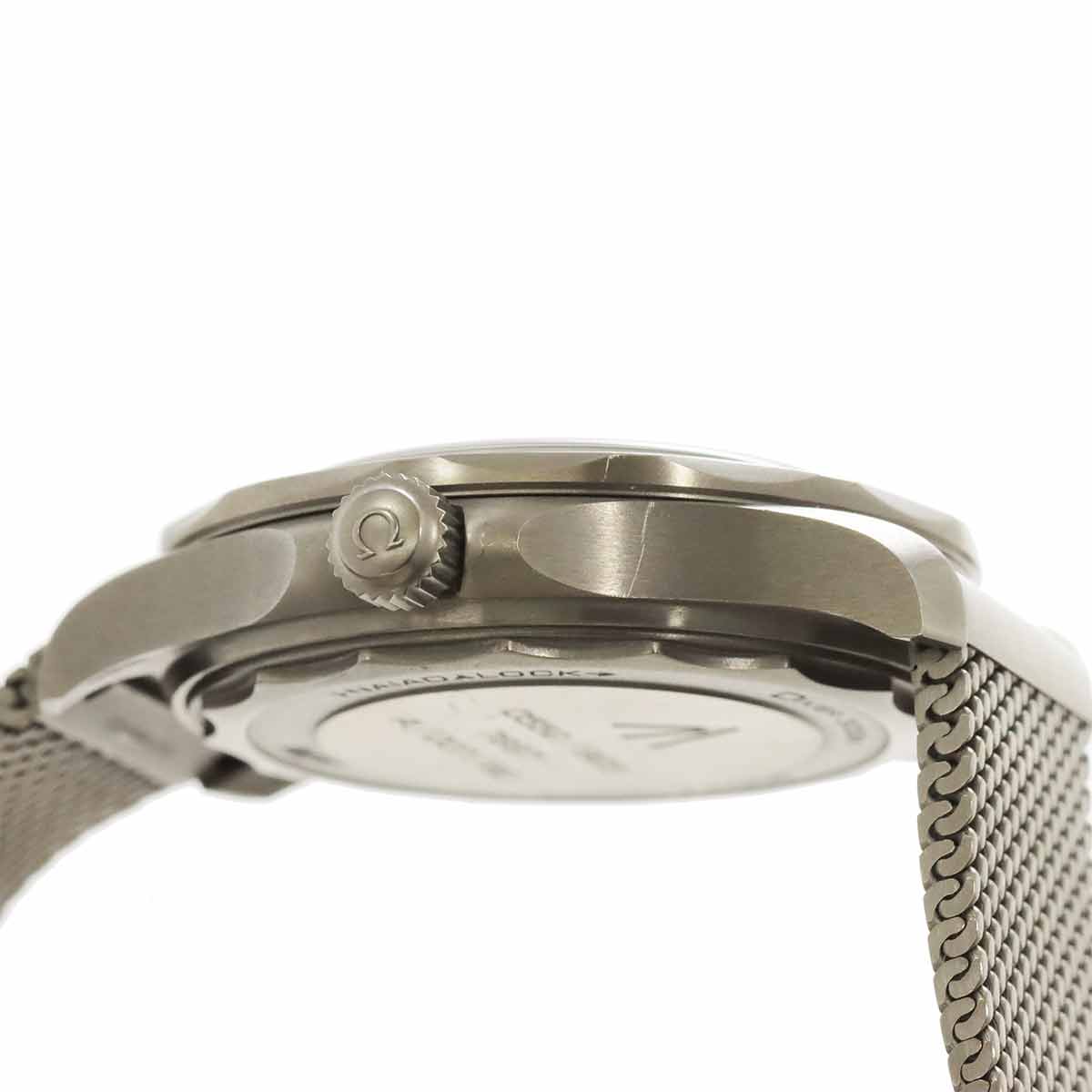 Seamaster Diver Co-Axial 007 210 90 42 20 01 001 Automatic