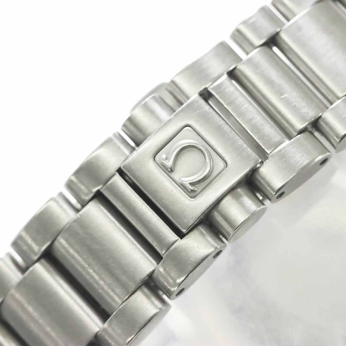 Seamaster Aqua Terra CO-AXIAL 2504.50 Automatic Mens Watch