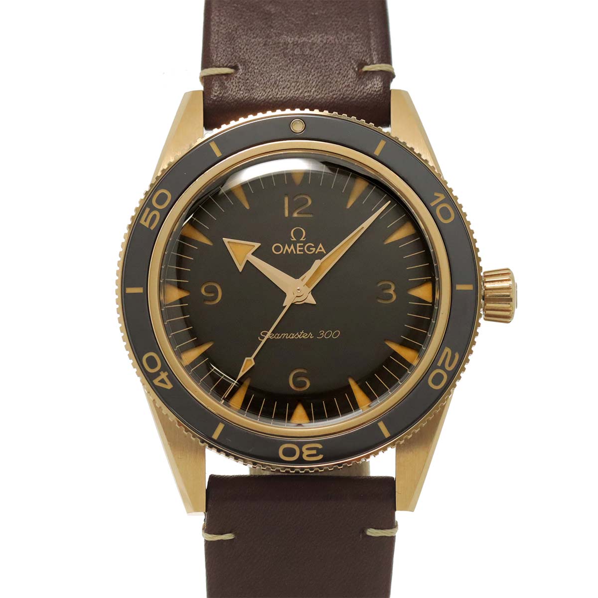 Seamaster 300 Master Chronometer 234 92 41 21 10 001 375BG