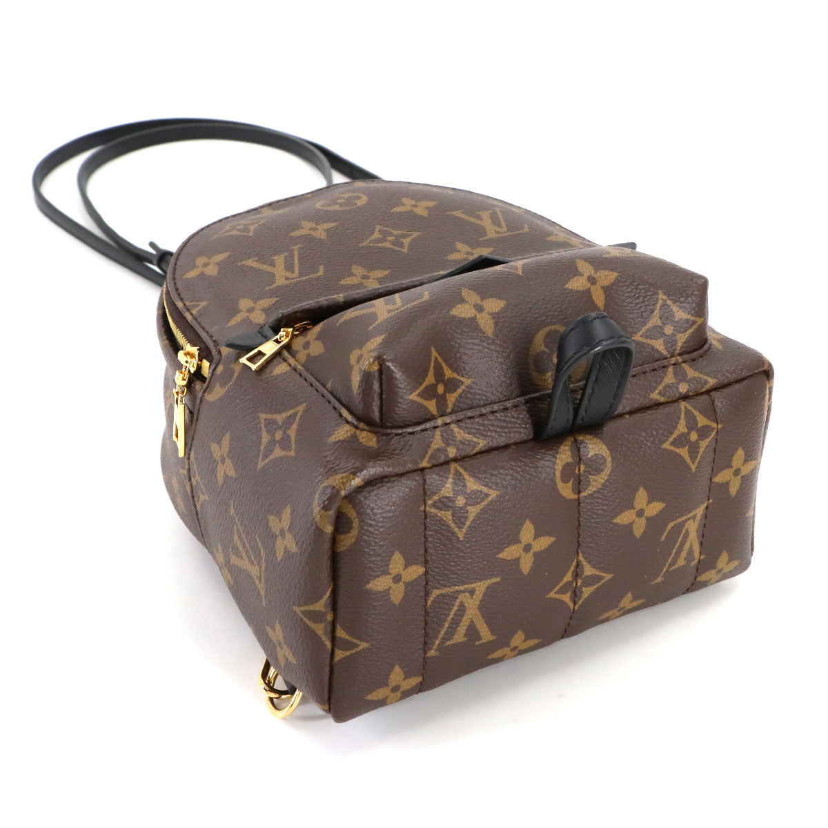 Monogram Palm Springs Backpack Mini M44873 Brown Purse