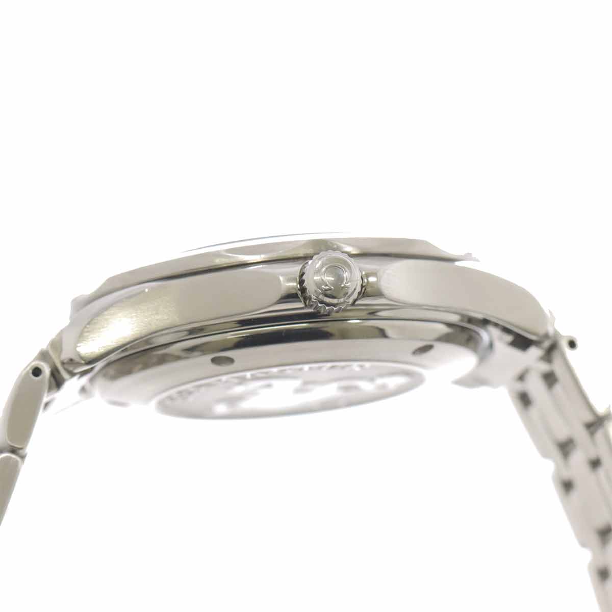 Seamaster Professional 2220.80 Automatic Date Mens Watch