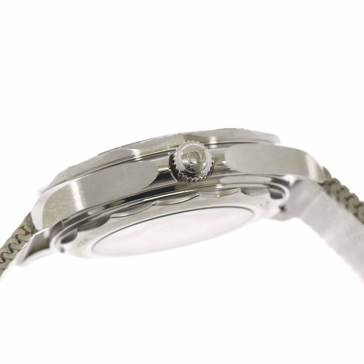 Seamaster 300 210 30 42 20 06 002 CO-AXIAL Date Gray Dial Mens