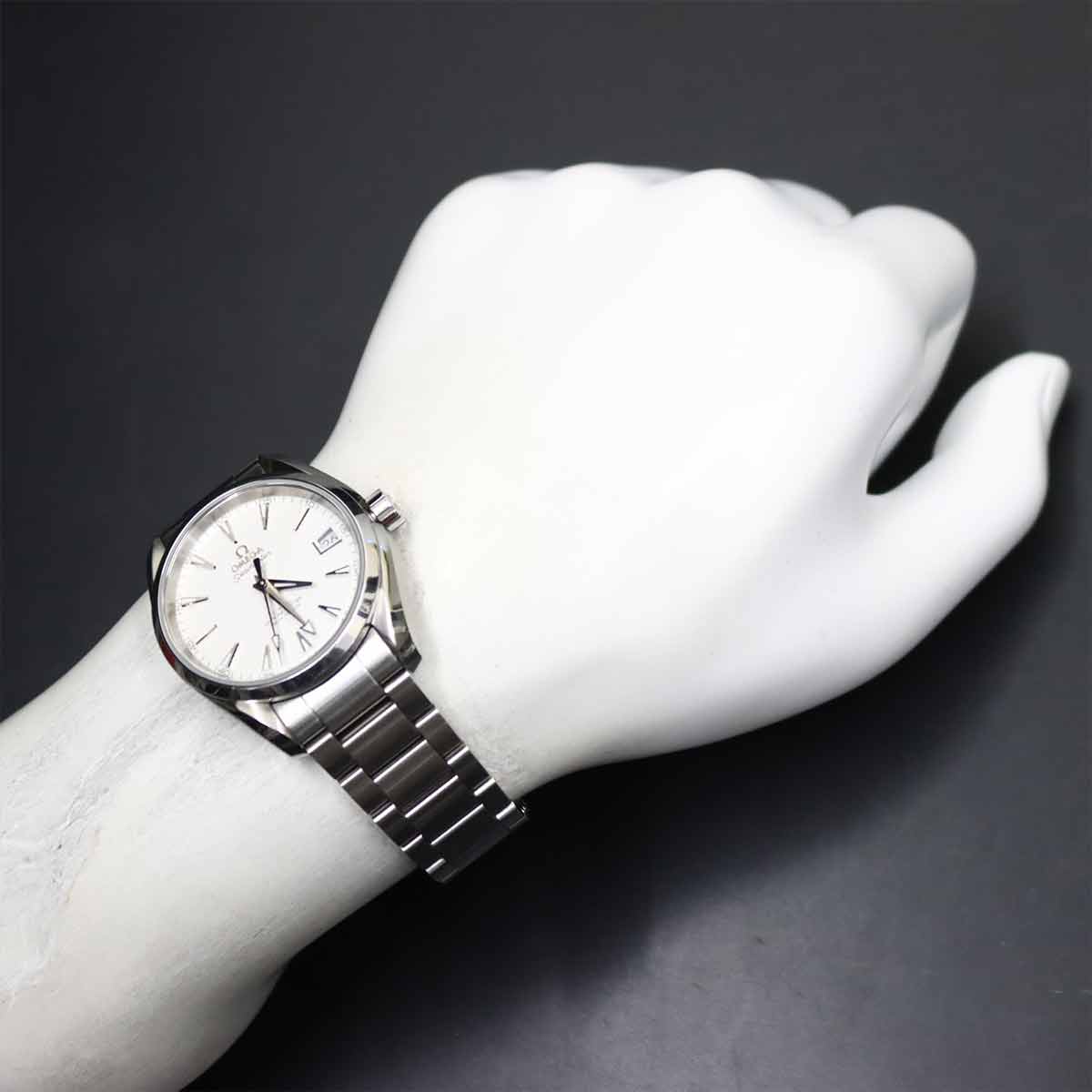 Aqua Terra Co-Axial 231.10.39.21.02.001 Silver Dial