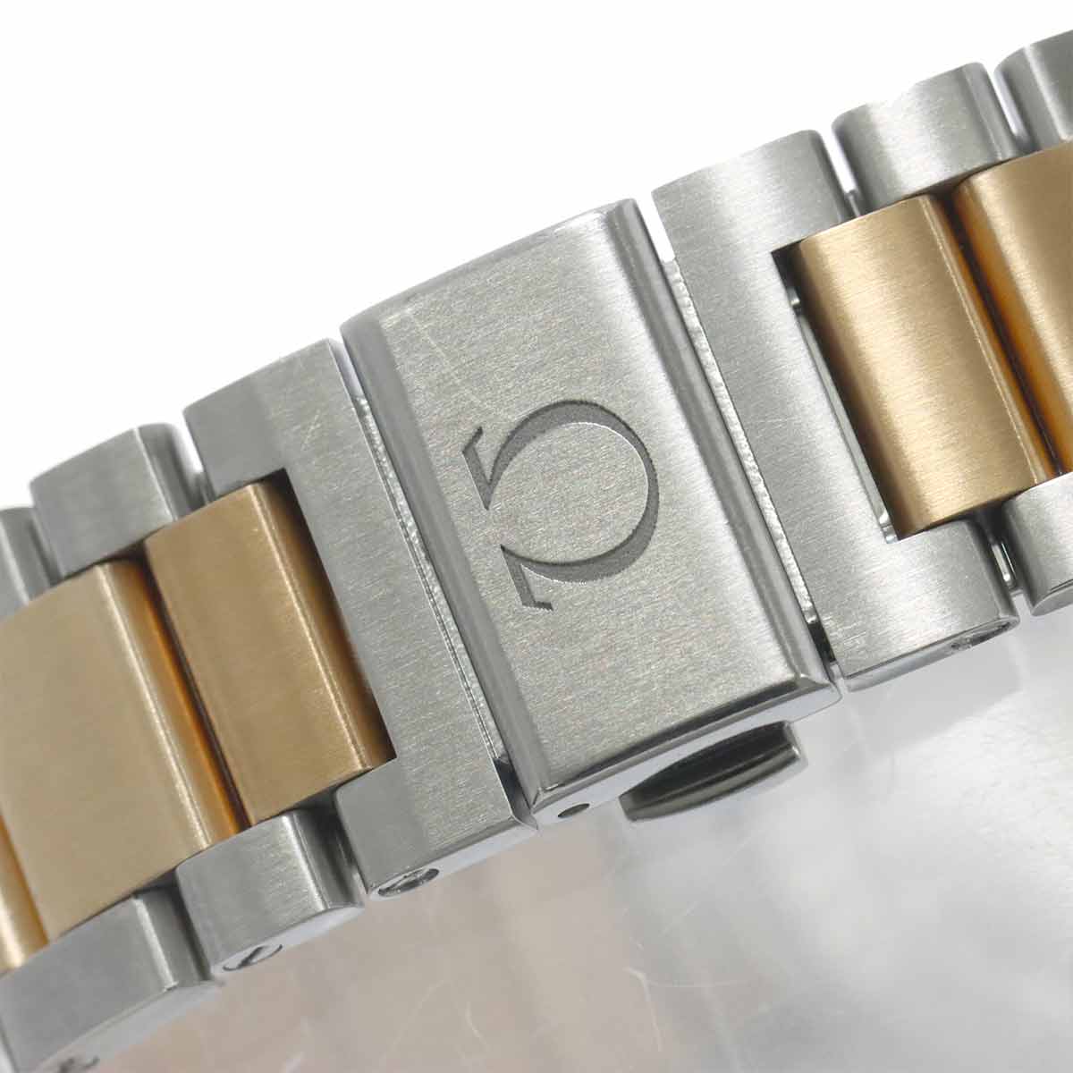 Seamaster Aqua Terra Co-axial 231 20 39 21 06 001 750 PG Mens