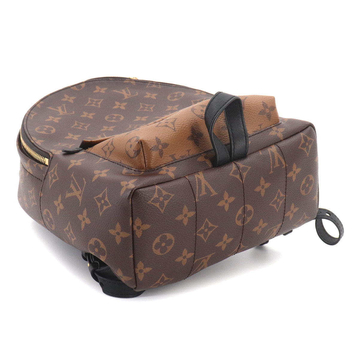 Monogram Reverse Palm Springs Backpack PM M44870 Brown