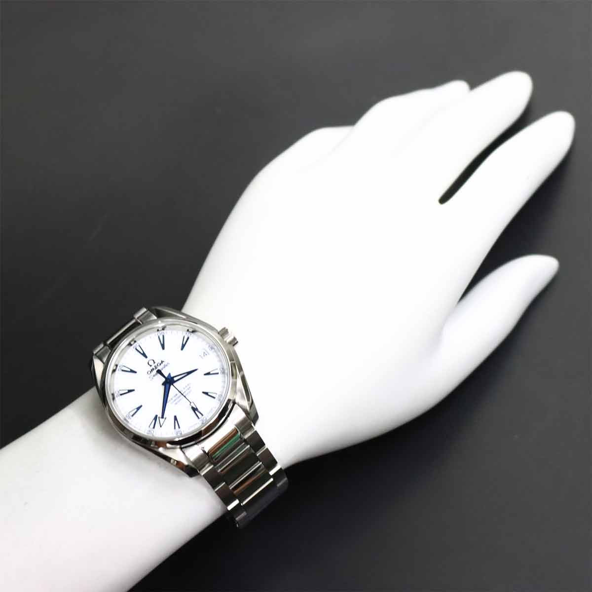 Seamaster Aqua Terra Good Planet 231.92.39.21.04.001 Automatic