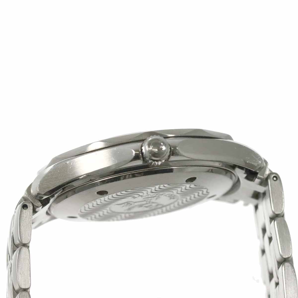 Seamaster Professional 300m 2531 80 Automatic Mens Watch