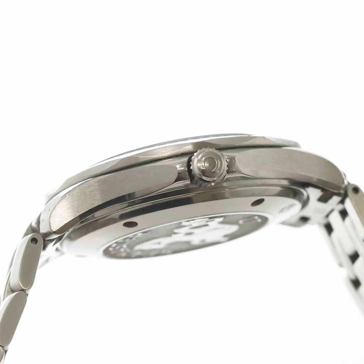 Seamaster Professional 2220.80 Automatic Date Mens Watch
