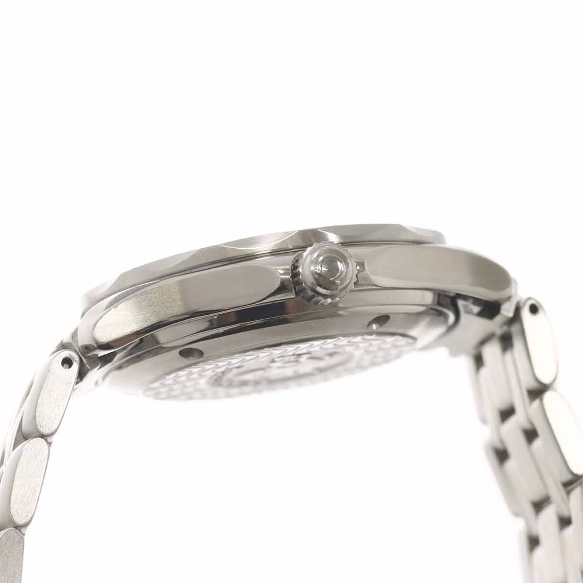 Seamaster professional 2551 80 Date Navy Dial Boys Watch