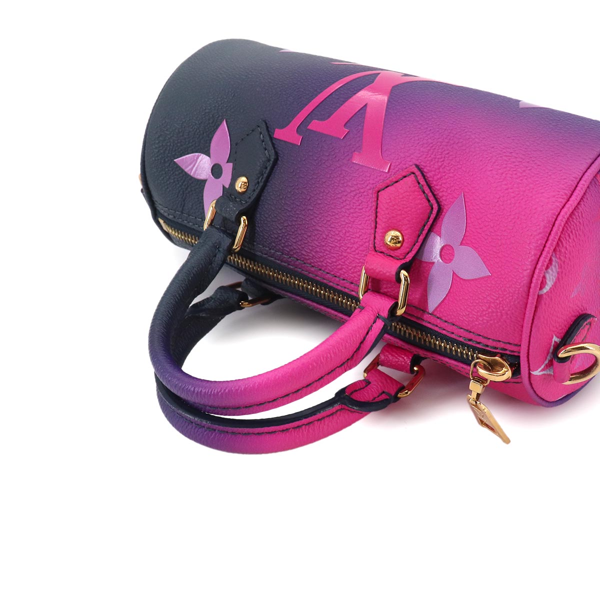 Spring in the City Monogram Giant Papillon BB Hand Bag