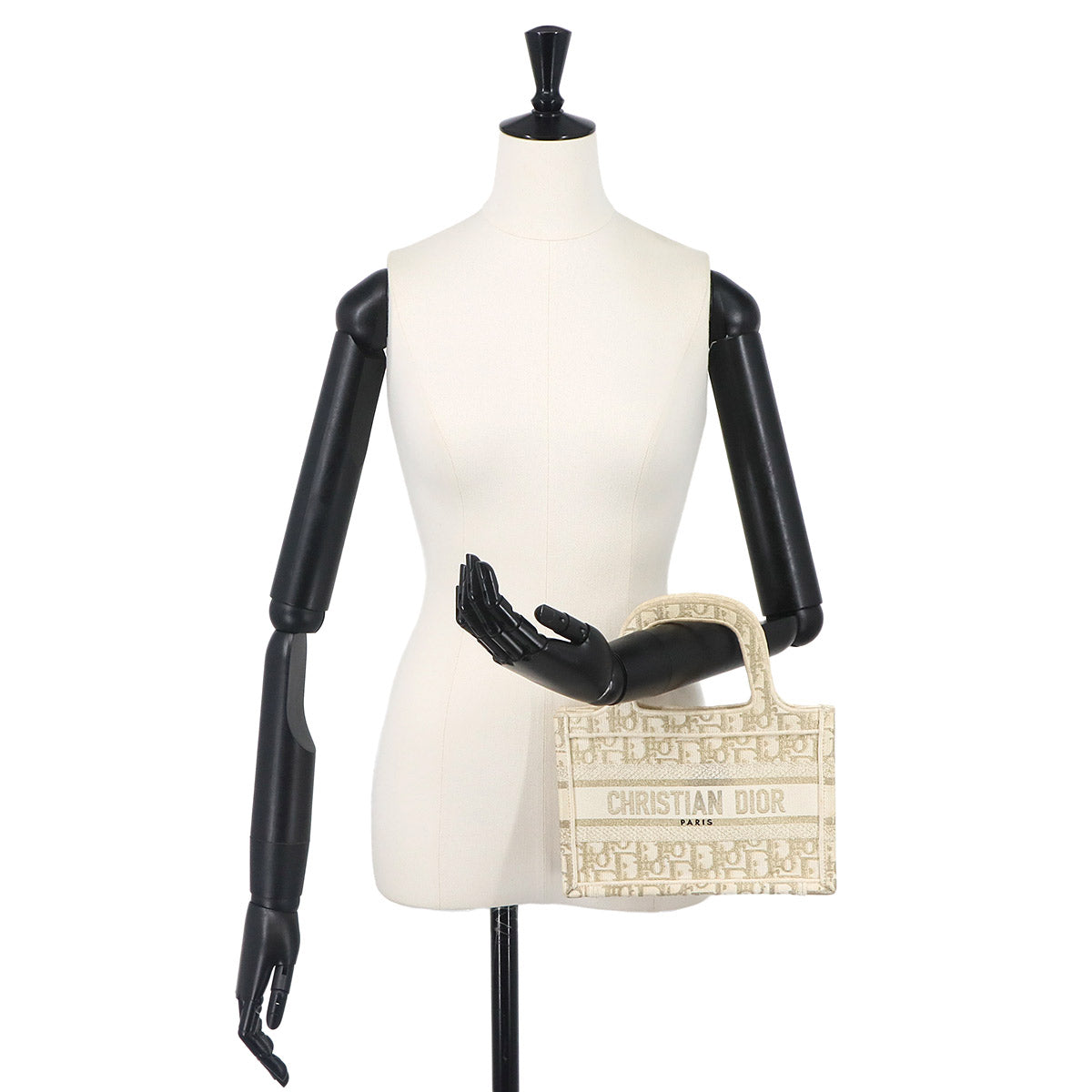 Oblique Book Tote Mini Bag Canvas Gold White