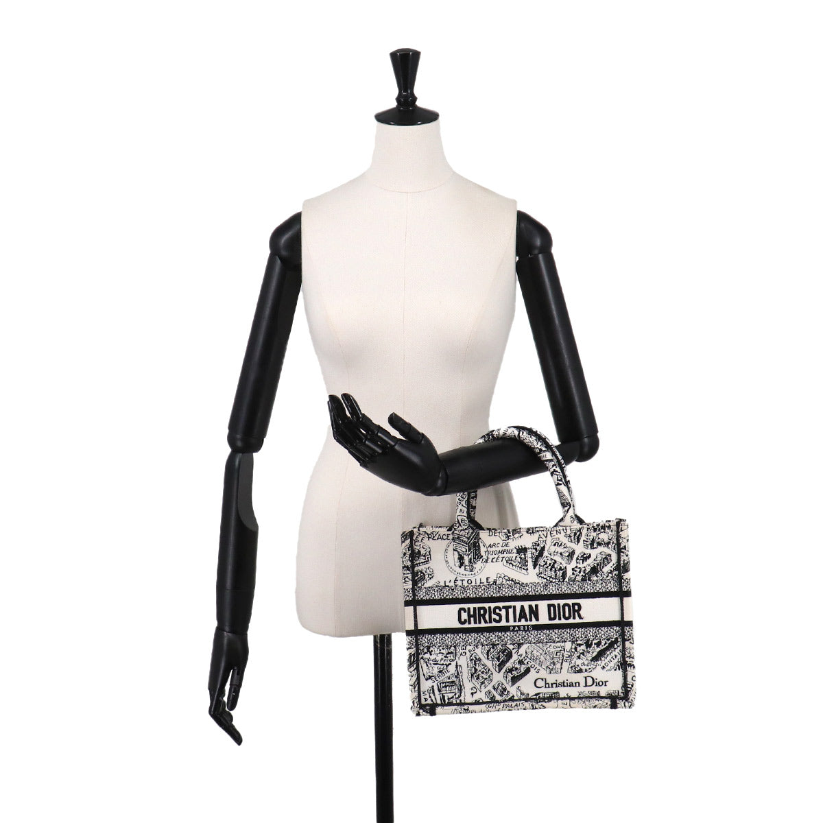Plan de Paris Book Tote Bag Small Canvas White Black