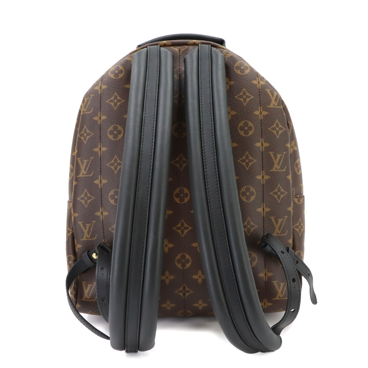 Monogram Palm Springs MM Backpack Brown Black M44874